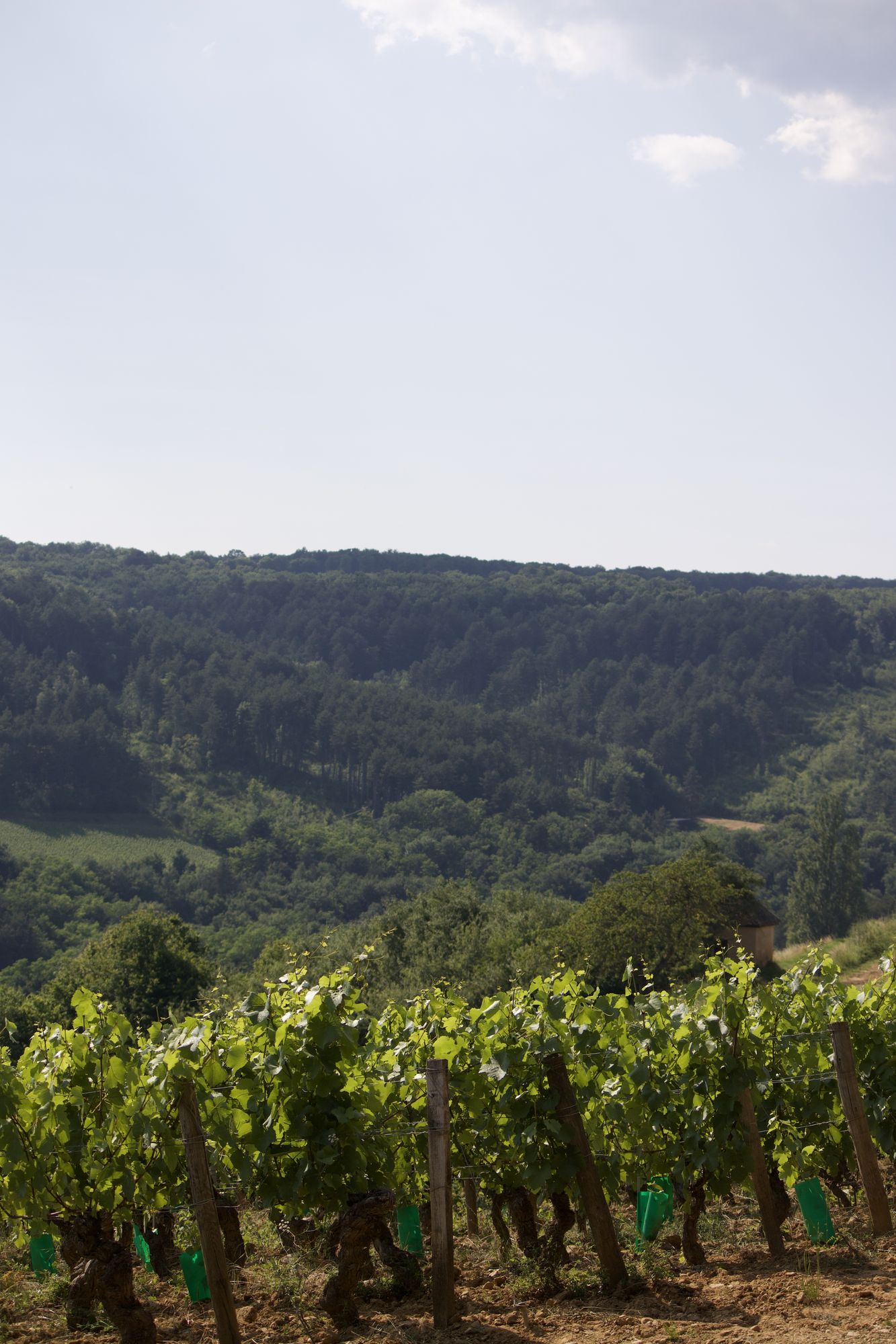 Les coteaux