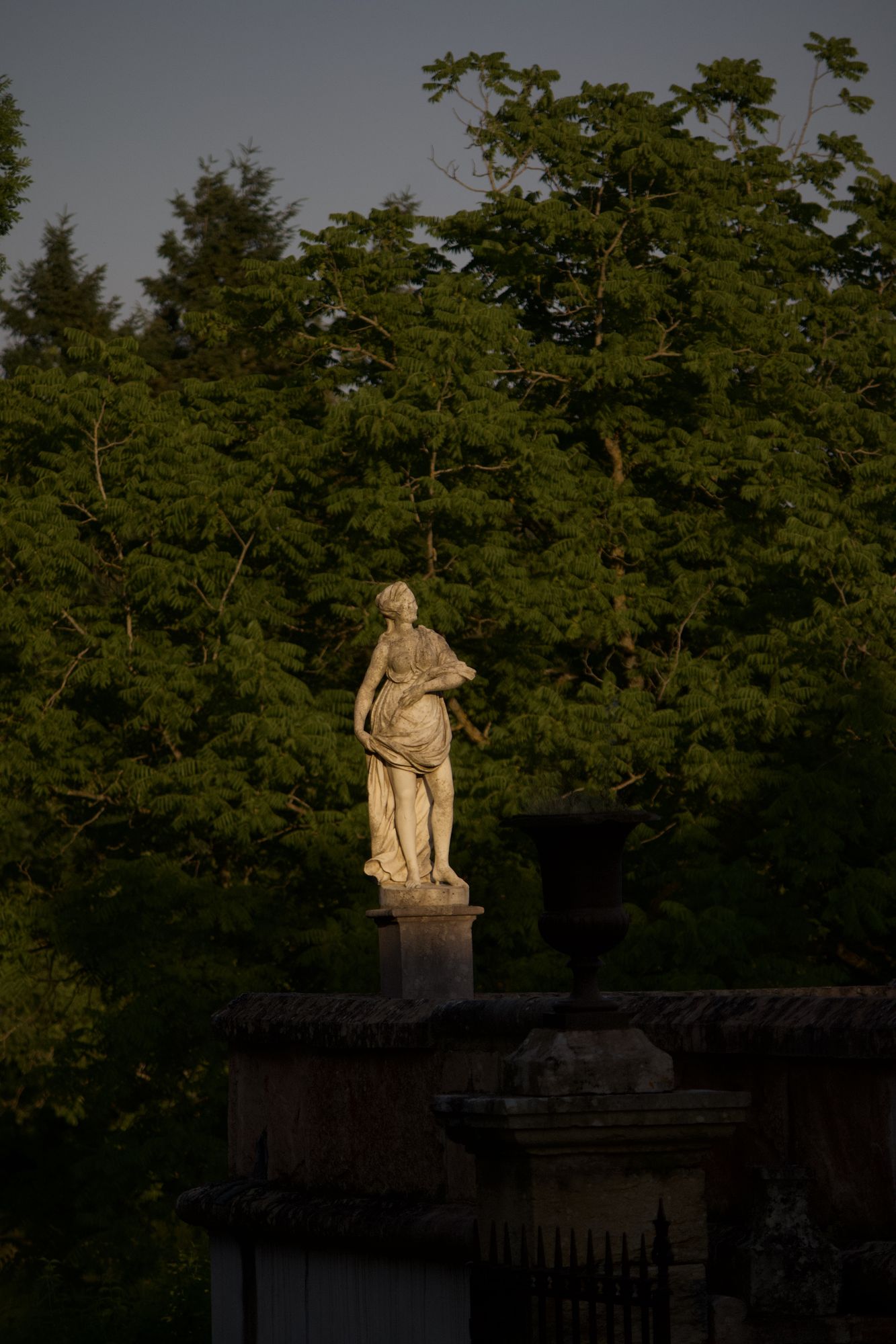 Lumière du soir