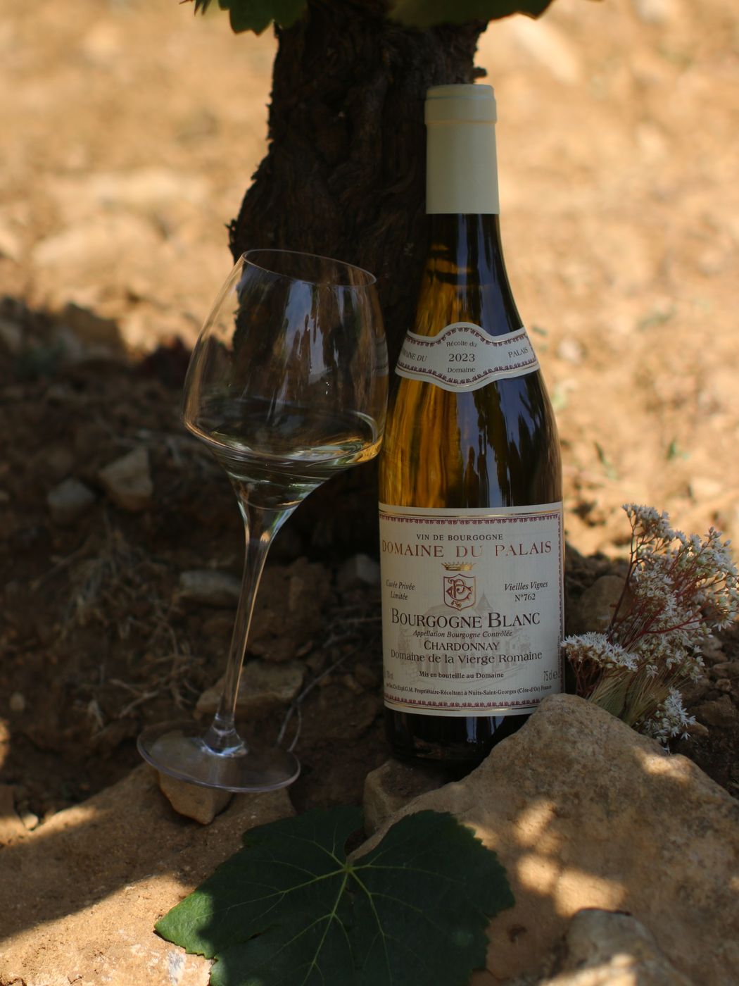 Bourgogne Chardonnay Domaine de la Vierge Romaine