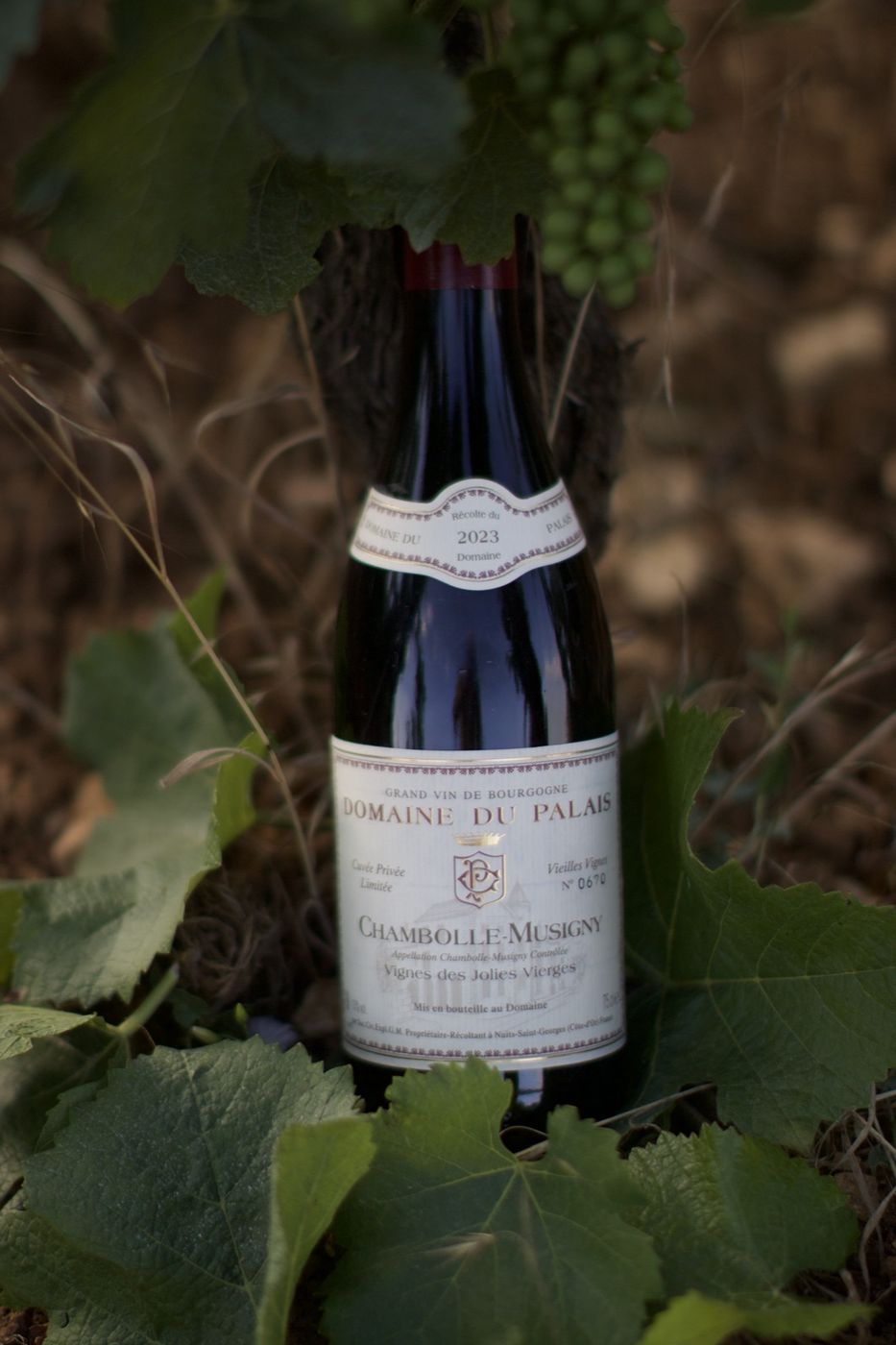 Chambolle-Musigny « Vigne des Jolies Vierges »