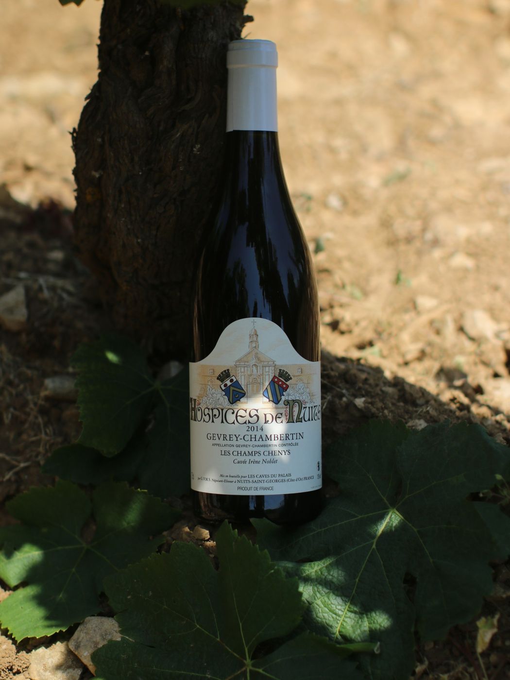 Hospices de Nuits – Nuits Les Lavières – Les Bas de Combe