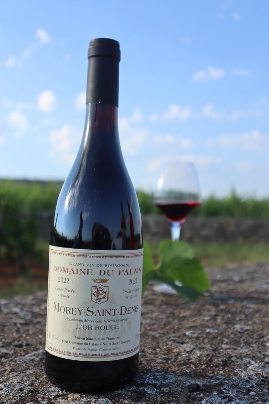 Morey-Saint-Denis « L'Or Rouge »