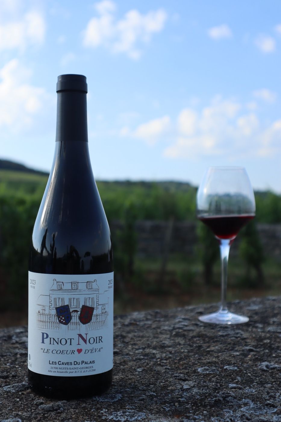 Pinot Noir « Le Cœur d'Eva » – Vin de France