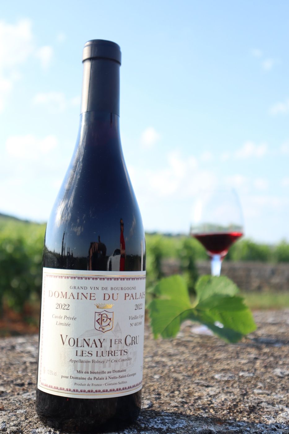 Volnay 1er Cru Les Lurets