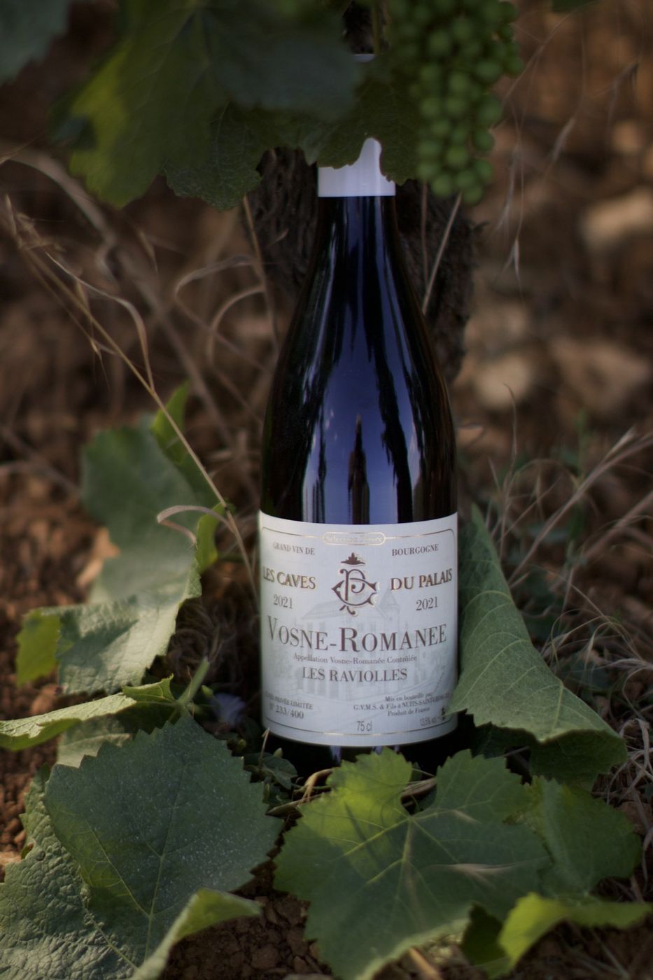 Vosne-Romanée Les Ravioles